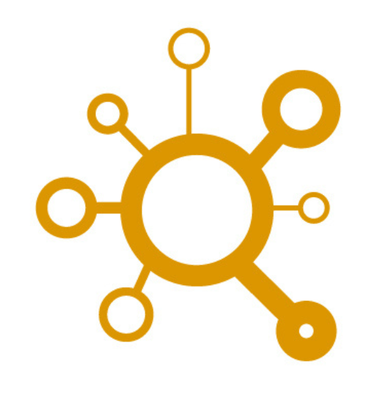 The RDI Process - Guiding Relationships